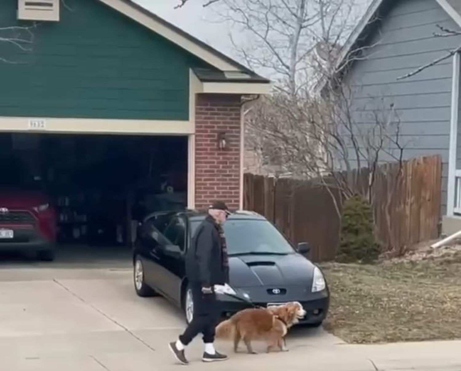 VÍDEO: Tras perder a su perro, este hombre pasea cada día al de su vecina