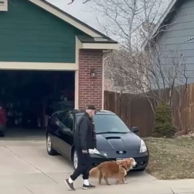 VÍDEO: Tras perder a su perro, este hombre pasea cada día al de su vecina