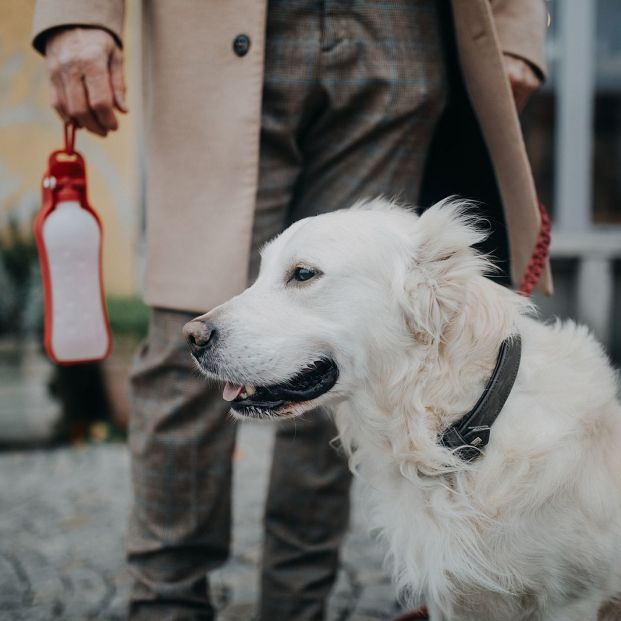 perros botella para orina