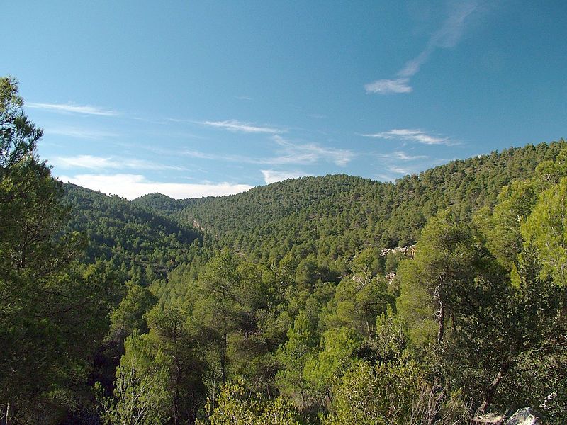 Sierra de Burete. Foto: Wikipedia