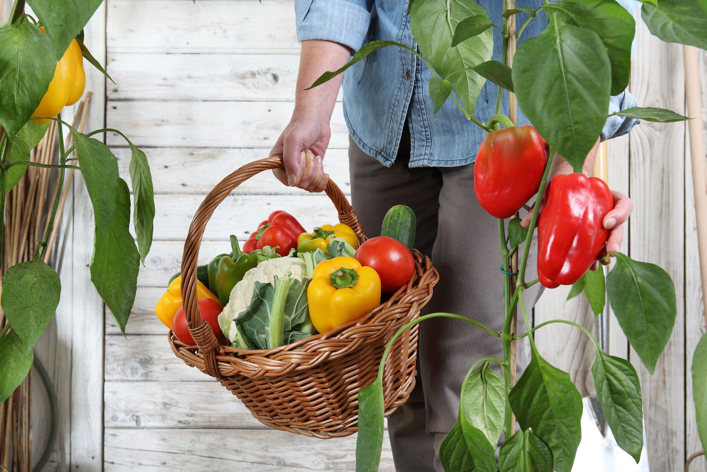 Mejora tu salud visual comiendo verdura