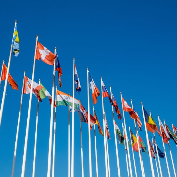 Este gráfico muestra lo que tienen en común todas las banderas del mundo