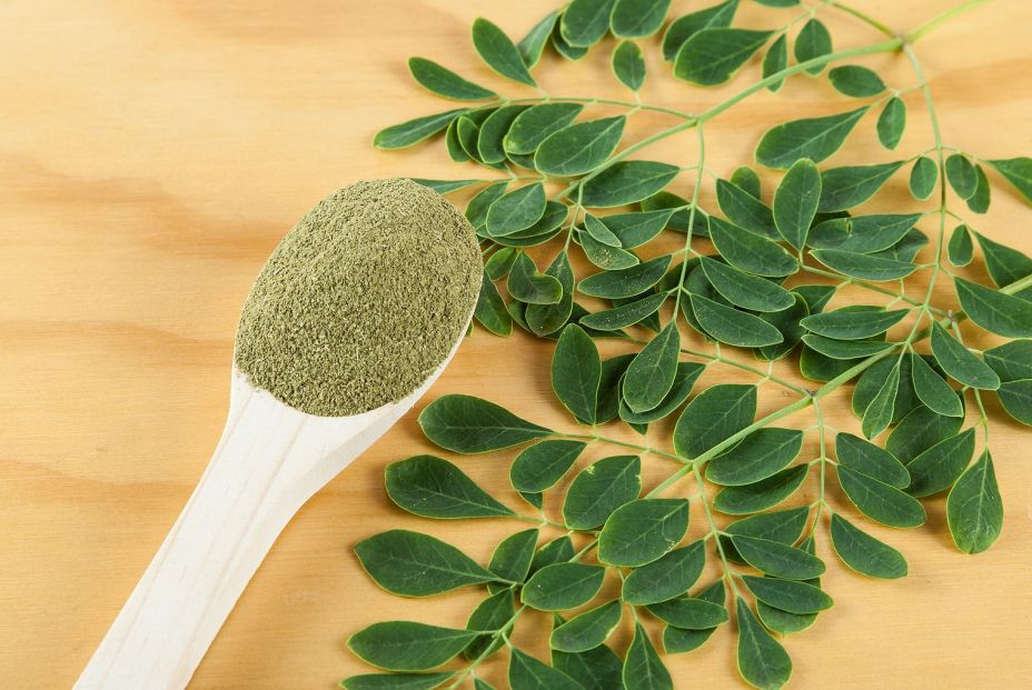 Moringa