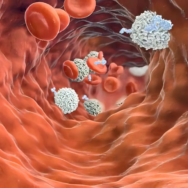 Nueva esperanza contra el cáncer: reducen el tamaño de tumores a través del sistema inmune