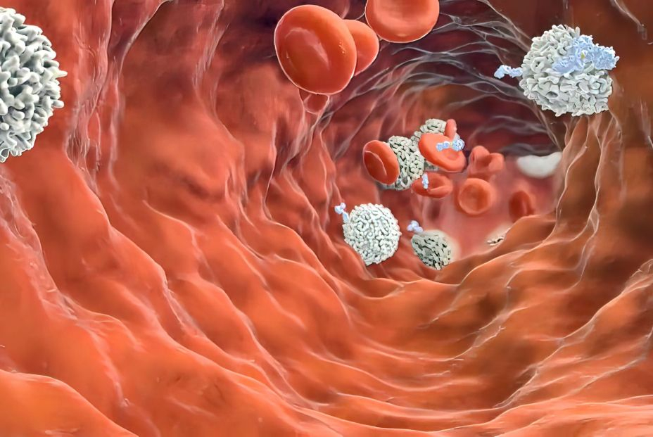 Nueva esperanza contra el cáncer: reducen el tamaño de tumores a través del sistema inmune
