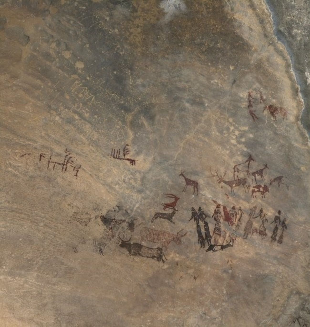 Encuentran figuras inéditas entre las pinturas rupestres de la Roca dels Moros (Lleida)