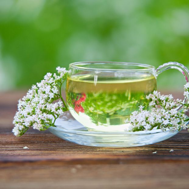 Infusión valeriana