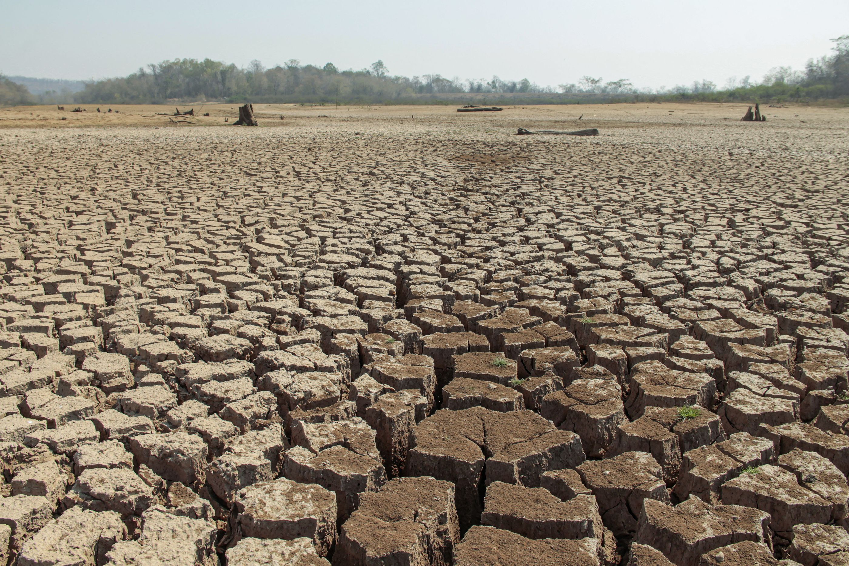 ¿Sabes cuáles han sido las olas de calor más extremas de la Historia?