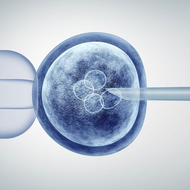 Embriones abandonados: España acumula 668.000 congelados y la mitad no tiene un destino. bigstock Genetic Editing And Gene Resea 272046718