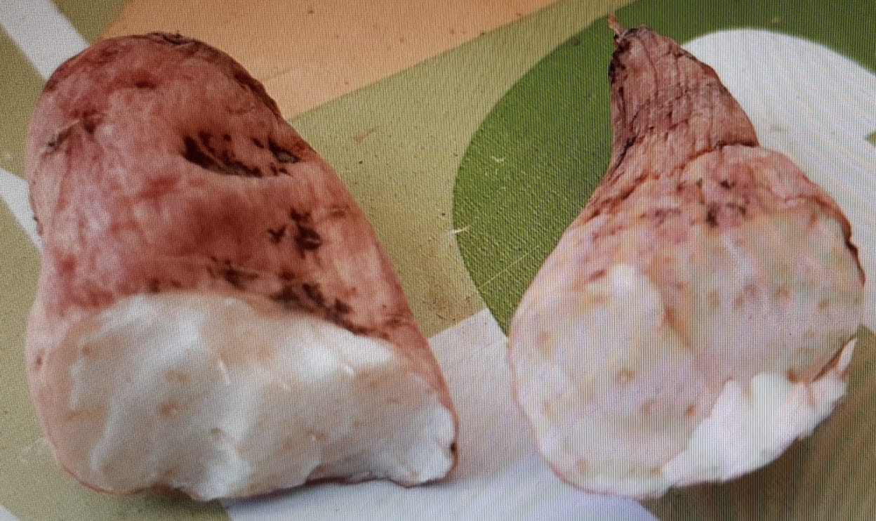 Alertan del peligro de comer el nabo del diablo tras la muerte de un hombre en Galicia