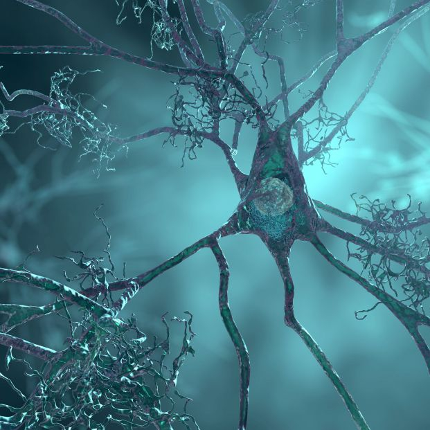 Impulso en la investigación del alzhéimer científicos consiguen mejorar la memoria en ratones. Foto: Bigstock
