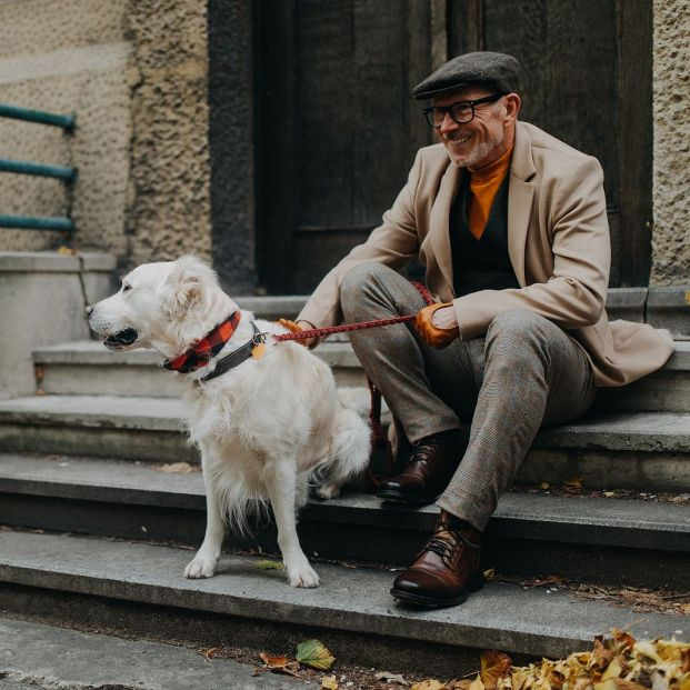 senior documentación perro