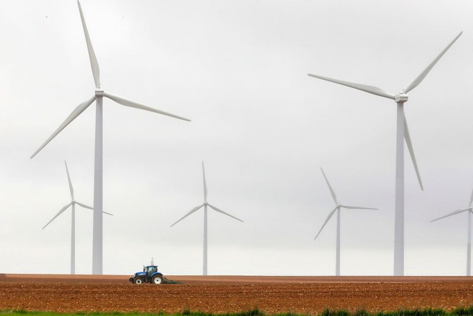 Cultivos y ganado bajo las placas solares: el aliado del campo para ser más limpio y rentable