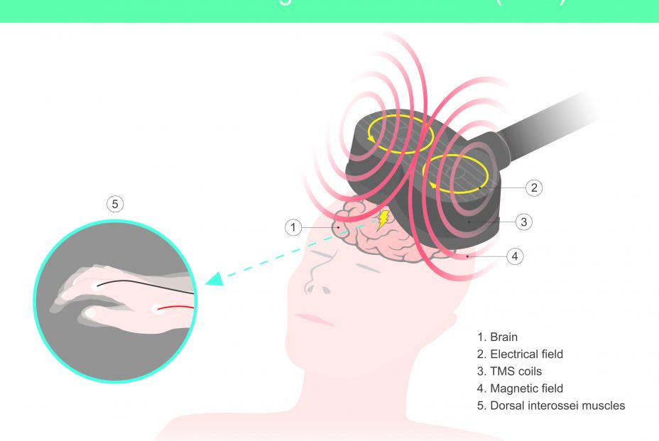 Un científico español descubre cómo reacciona el cerebro durante el tratamiento de la depresión