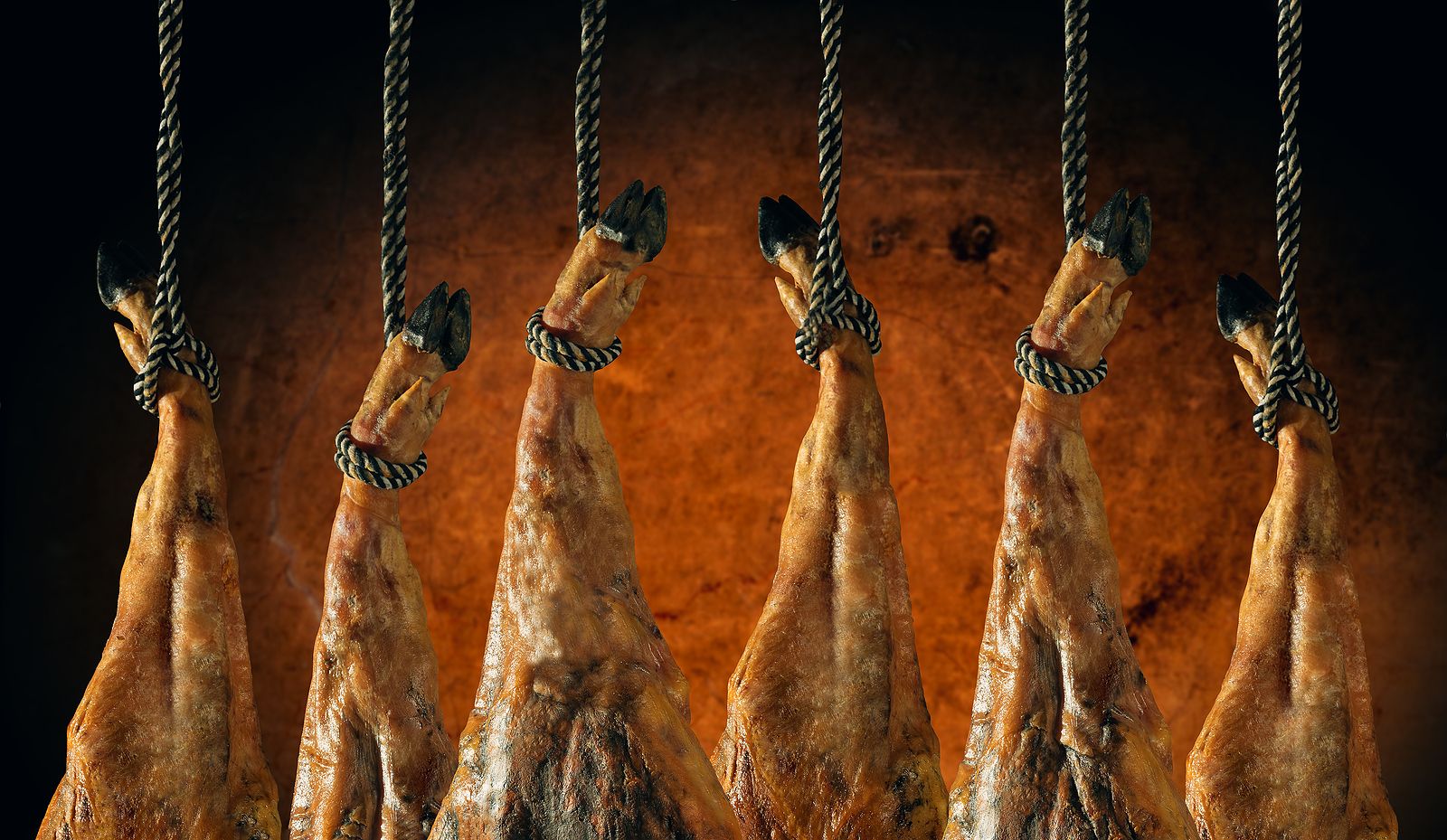 Demuestran que la situación geográfica del secadero influye en el aroma del jamón ibérico. Foto: Bigstock