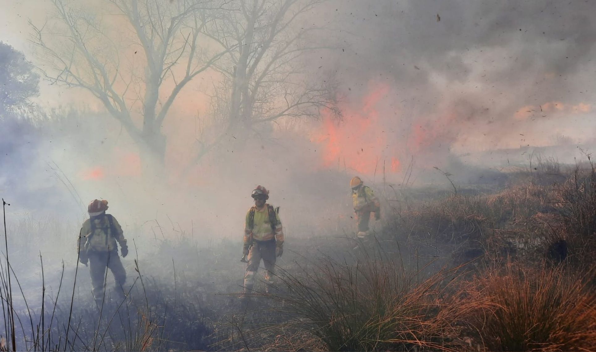 Los bomberos forestales, más cerca de tener jubilación anticipada sin penalizar