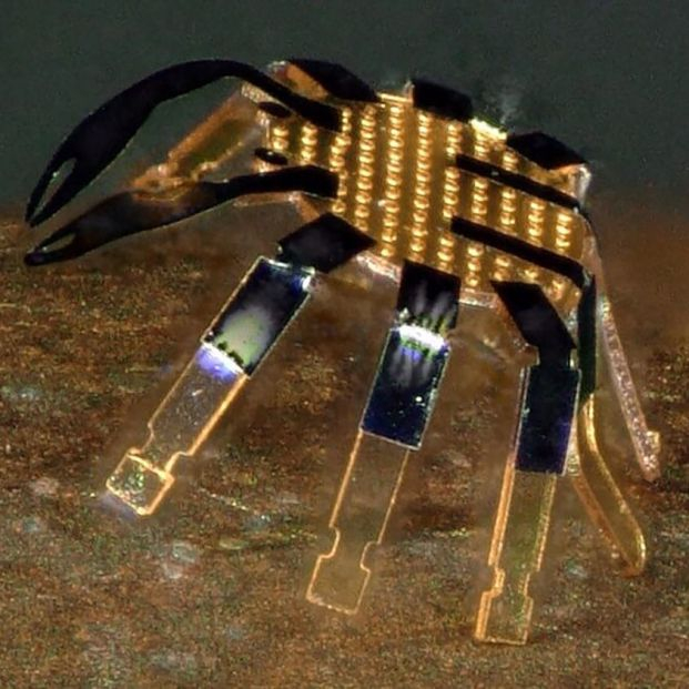 El robot andante más pequeño tiene forma de cangrejo y funciona por control remoto