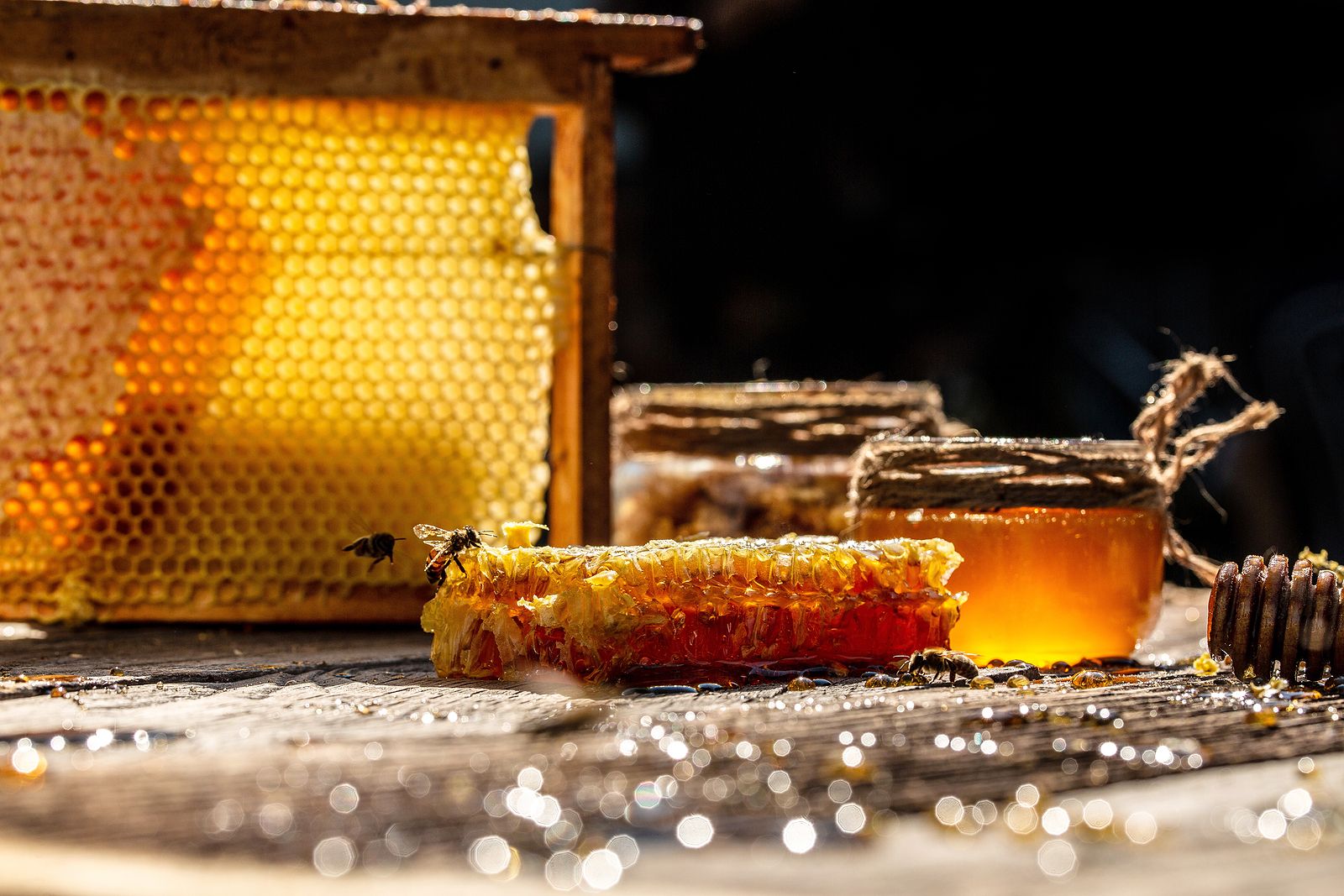 La miel de Ibiza se podrá comercializar esta primavera con el distintivo de la DOP 'Mel d'Eivissa'. Ruta por la miel de la Comunidad de Madrid. Foto: Bigstock