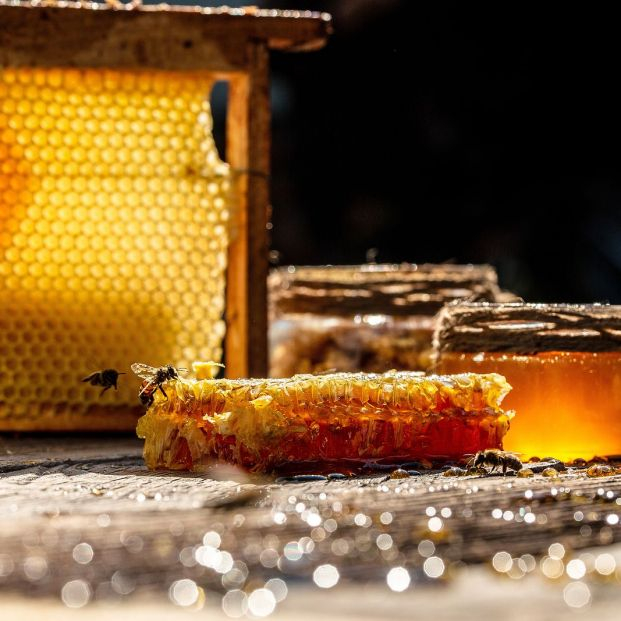 Ruta por la miel de la Comunidad de Madrid. Foto: Bigstock