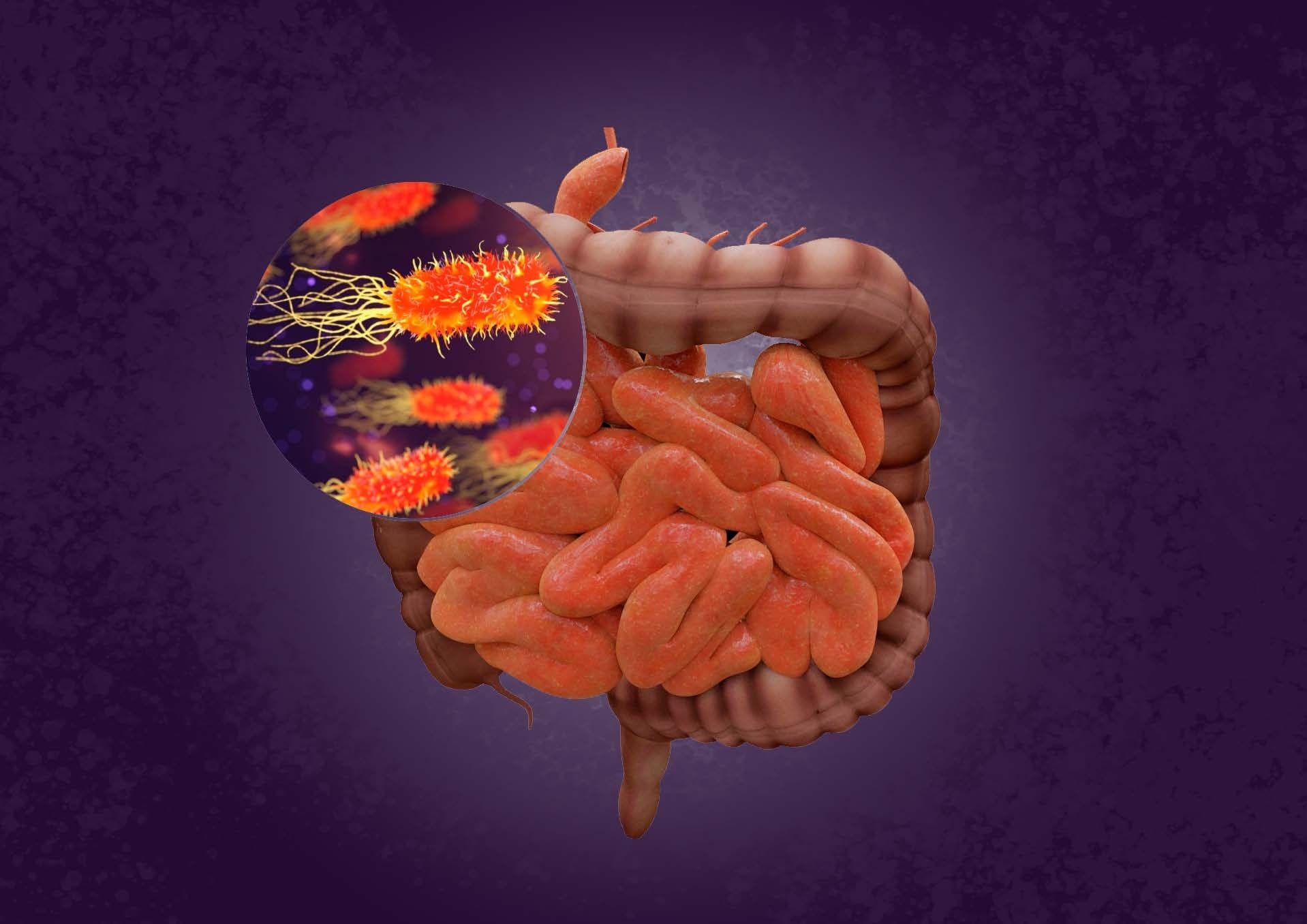 Las bacterias intestinales pueden reducir la eficacia de la medicación para la presión arterial