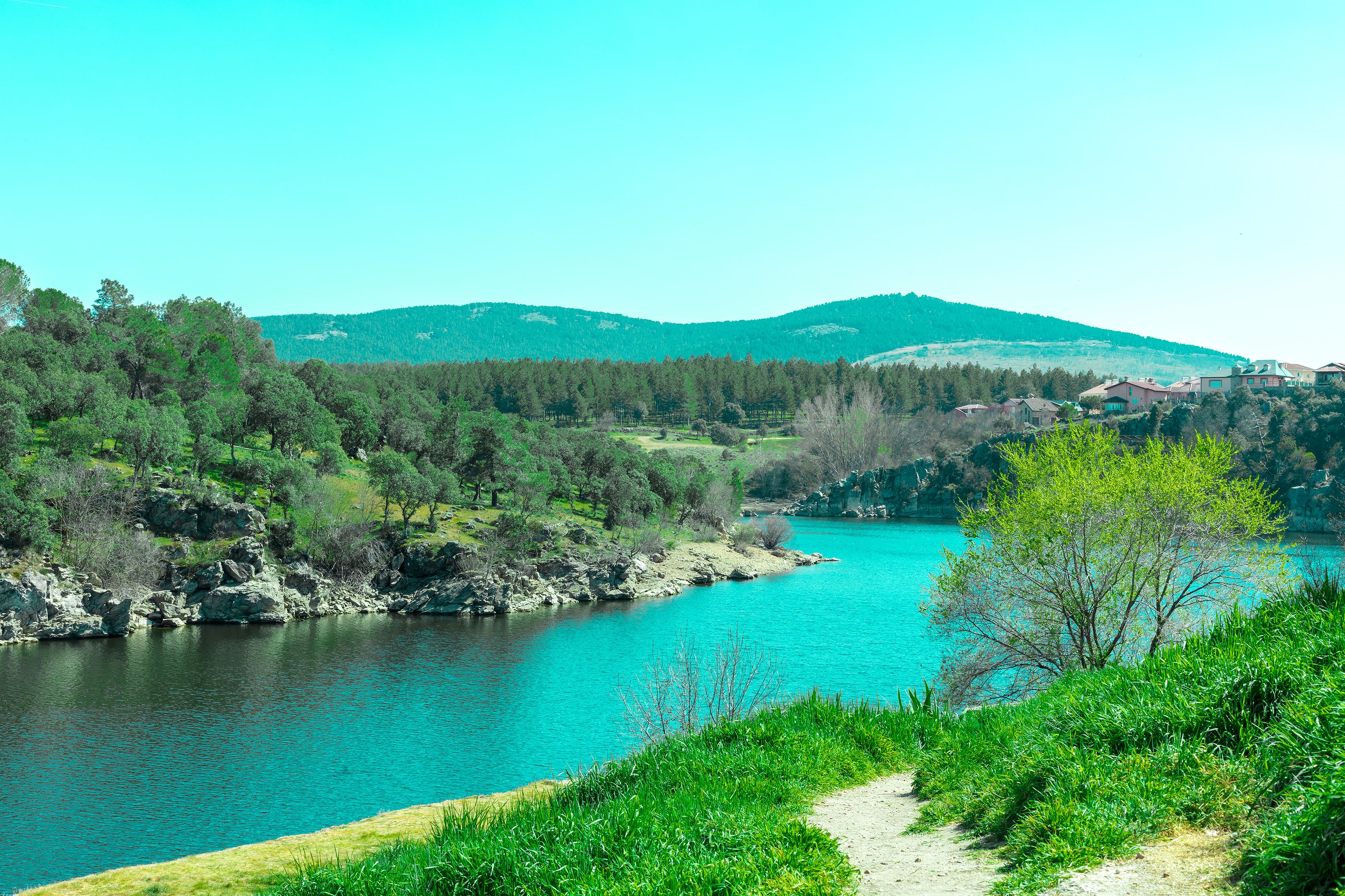 Descubre la impresionante Laguna de los Pájaros en Madrid