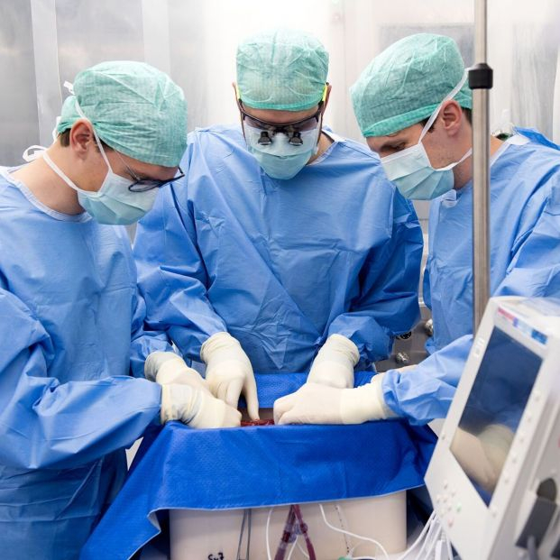 Hito médico: trasplantan con éxito un hígado humano tratado durante tres días fuera del cuerpo