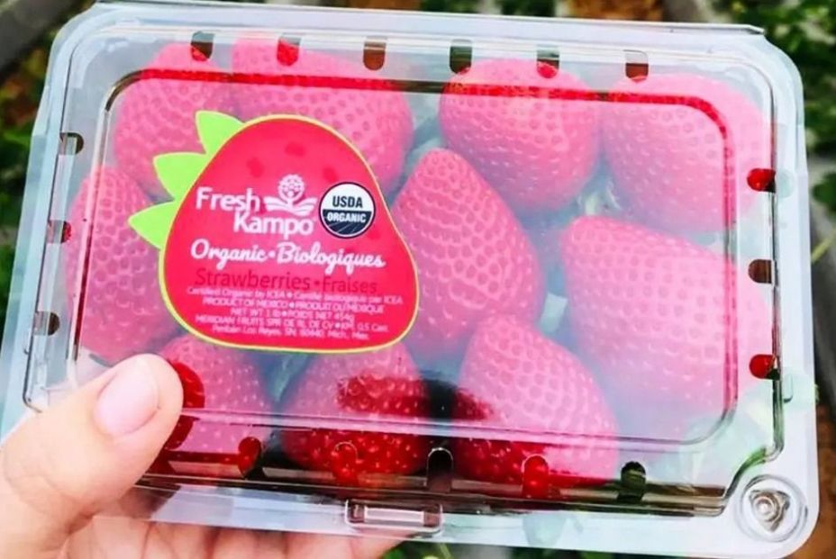Fresas Fresas