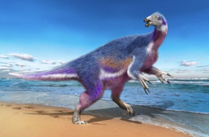 El nuevo dinosaurio con garras increíbles hallado en Japón