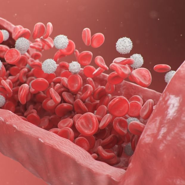 Un medicamento para la diabetes podría revertir el envejecimiento de los vasos sanguíneos. Foto: Bigstock