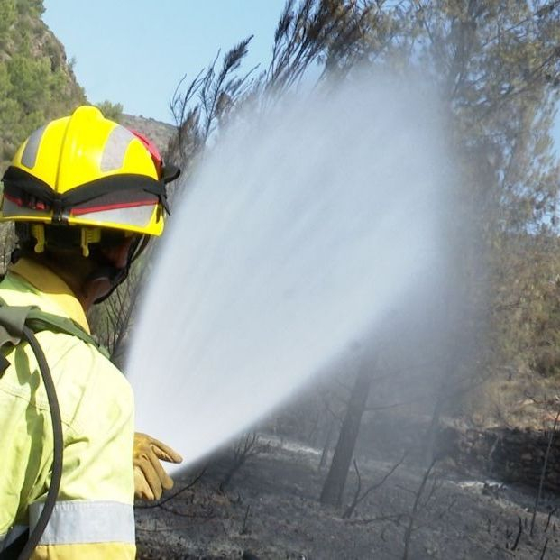 bomberos forestales incendio