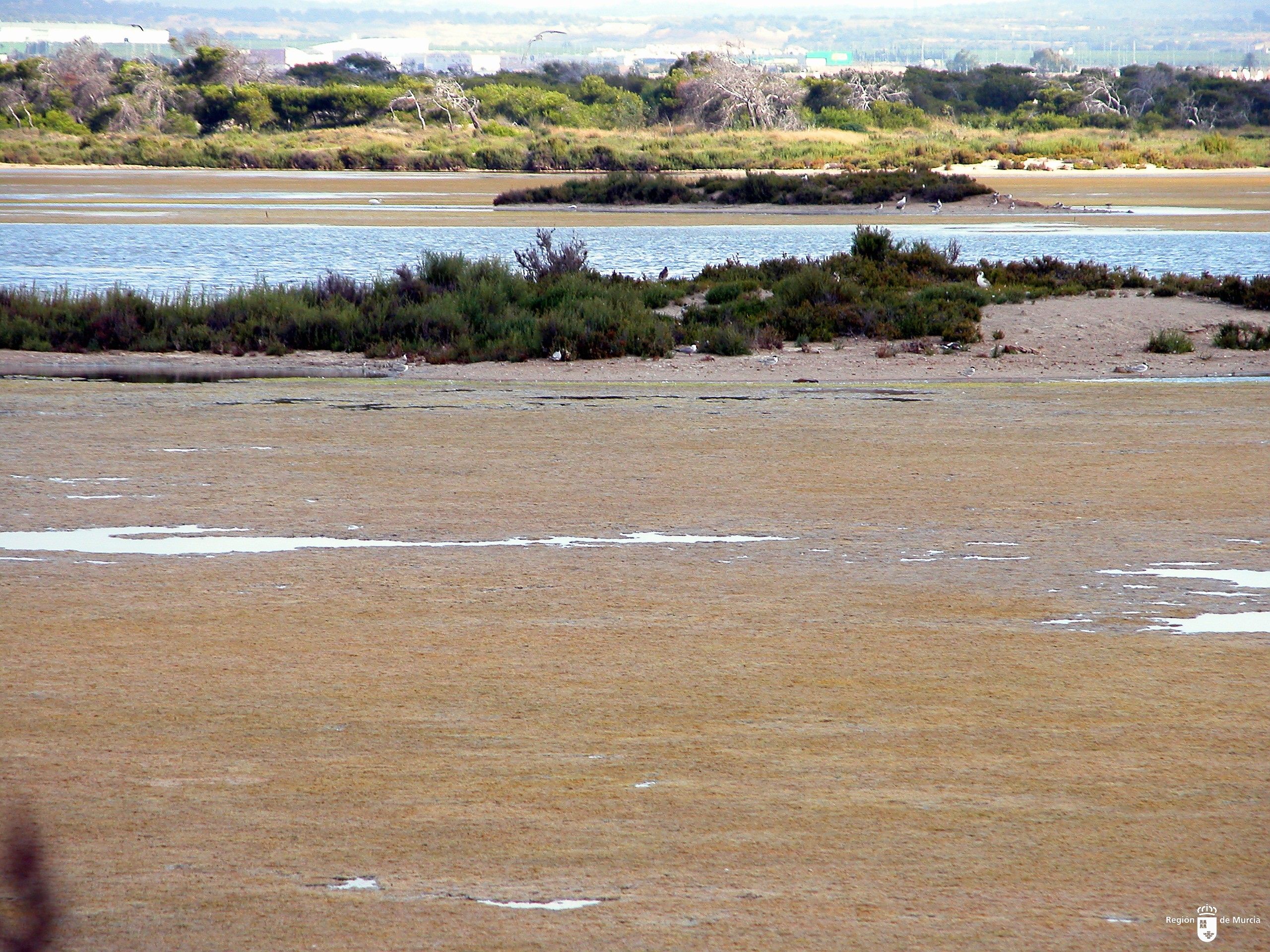Playas y salazones en San Pedro del Pinatar. (Parque Natural Regional de las Salinas y Arenales. Foto CARM) Playas y salazones en San Pedro del Pinatar. (Parque Natural Regional de las Salinas y Arenales. Foto CARM)