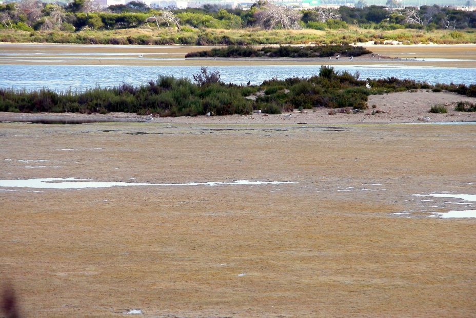 Playas y salazones en San Pedro del Pinatar. (Parque Natural Regional de las Salinas y Arenales. Foto CARM)