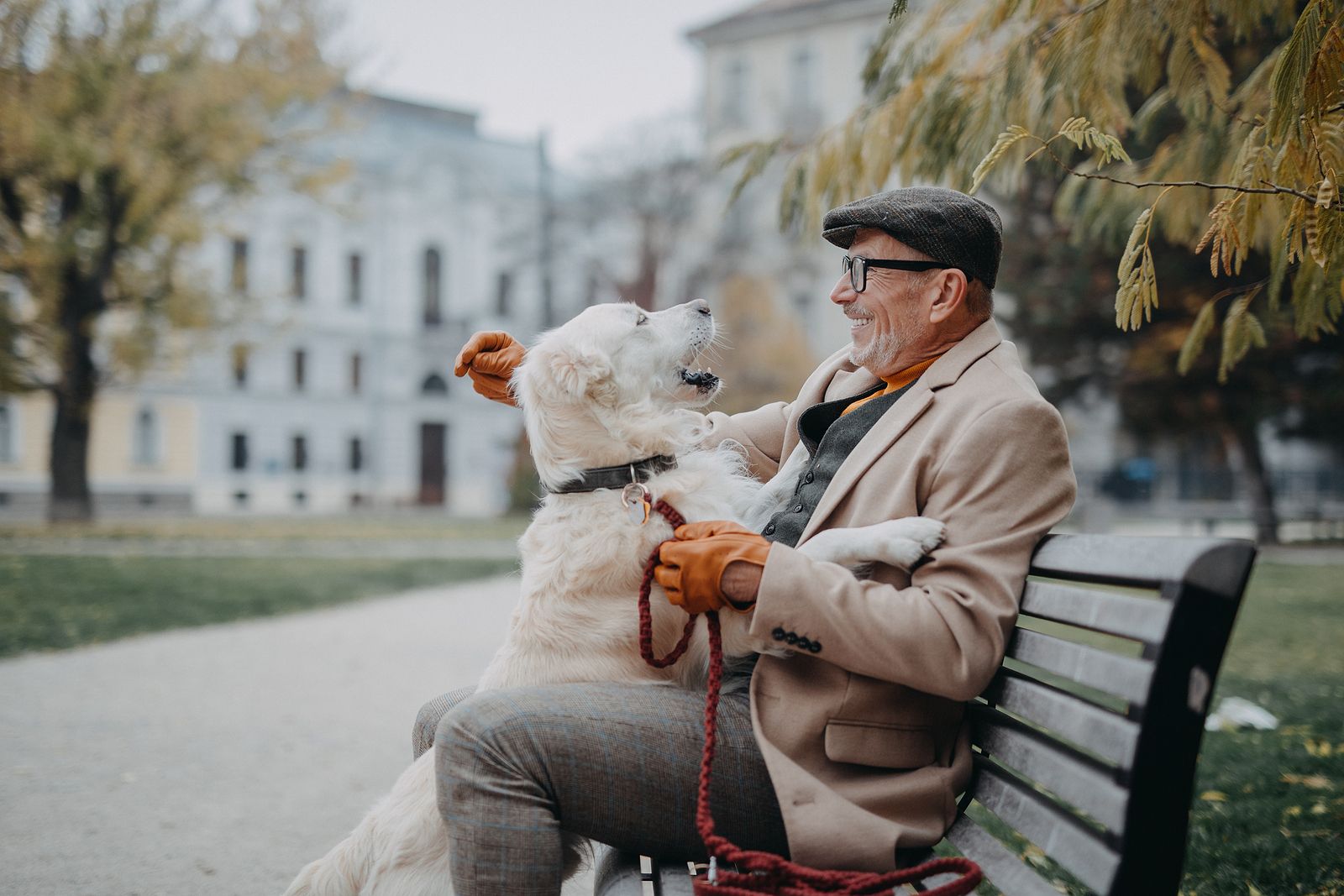 La genética explica por qué los perros son tan fieles a los humanos