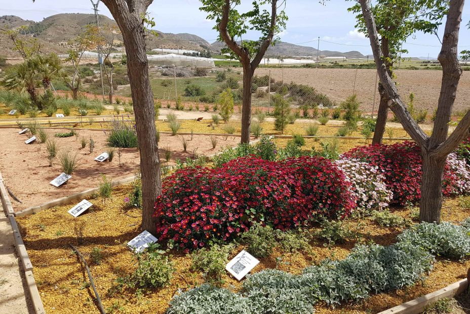 Jardín Etnobotánico Mastia. Foto: Mazarrón Jardín Etnobotánico Mastia. Foto: Mazarrón