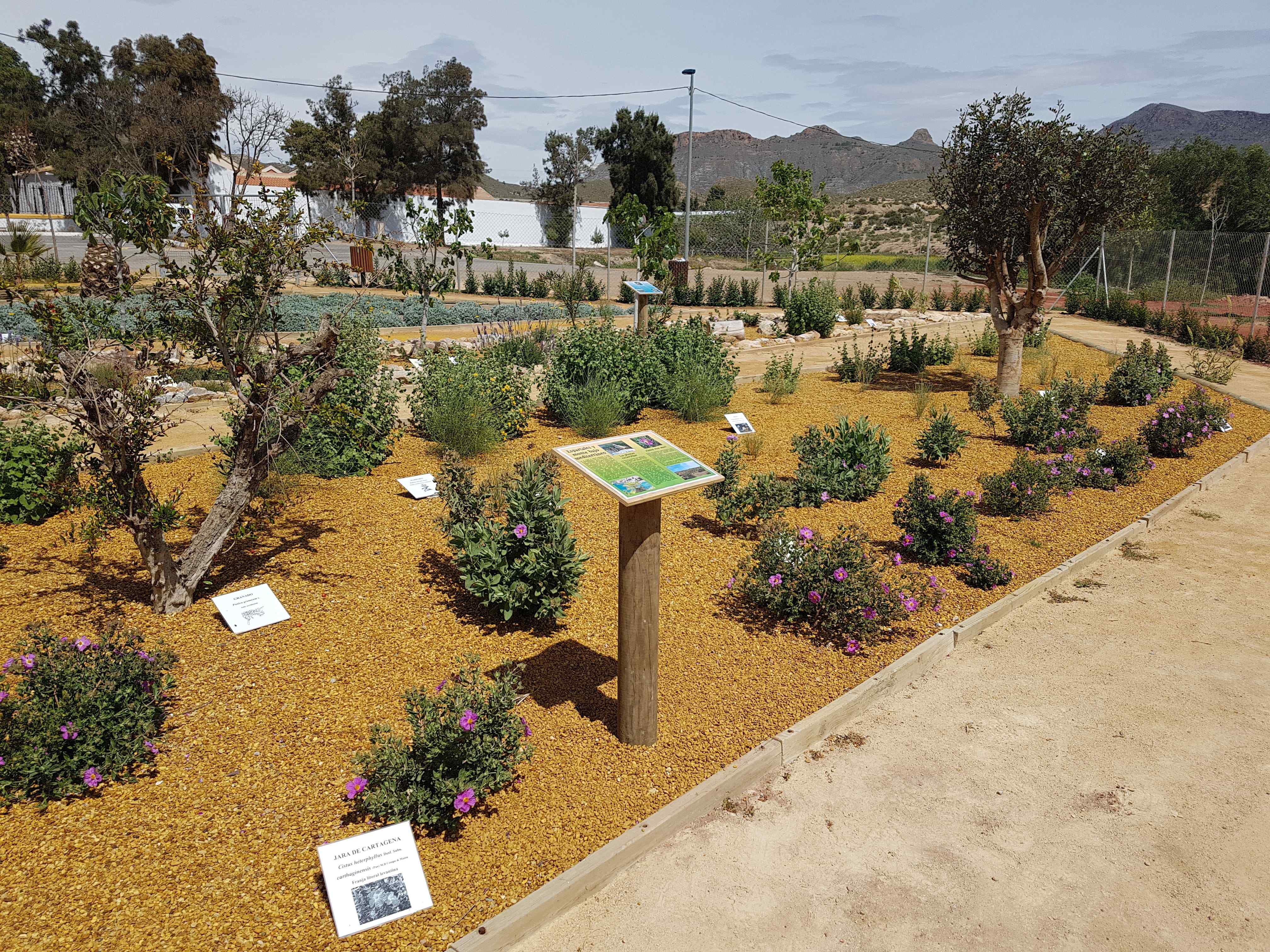 Jardín etnobotánico y factoría romana de salazones en Mazarrón. Foto: mazarron.es