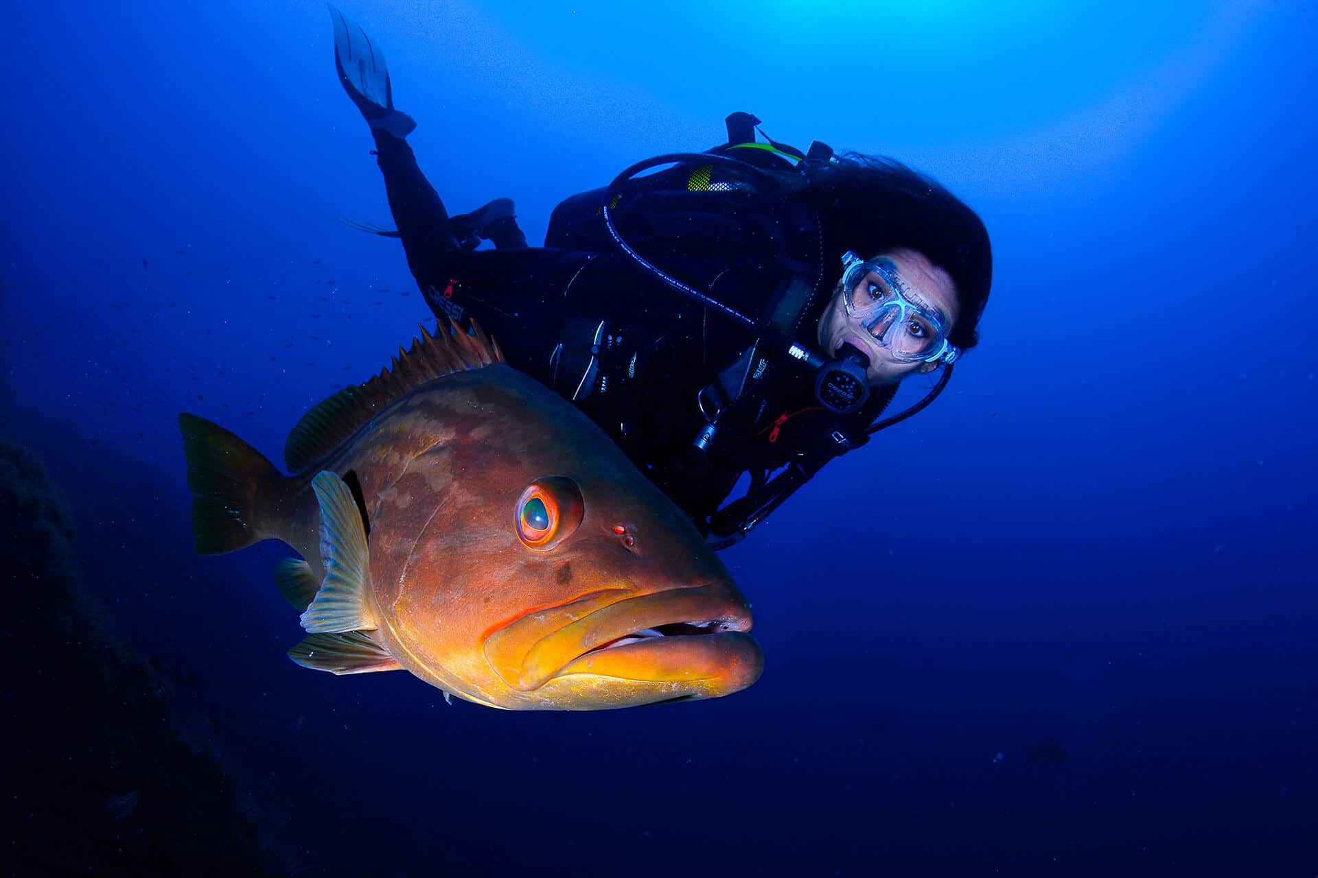 Submarinismo y gastronomía en la Región de Murcia. Foto: ACBRM