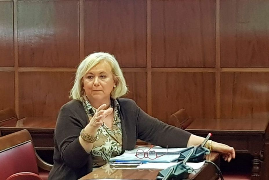 El Senado aprueba solicitar más personal presencial en la Seguridad Social ante su colapso