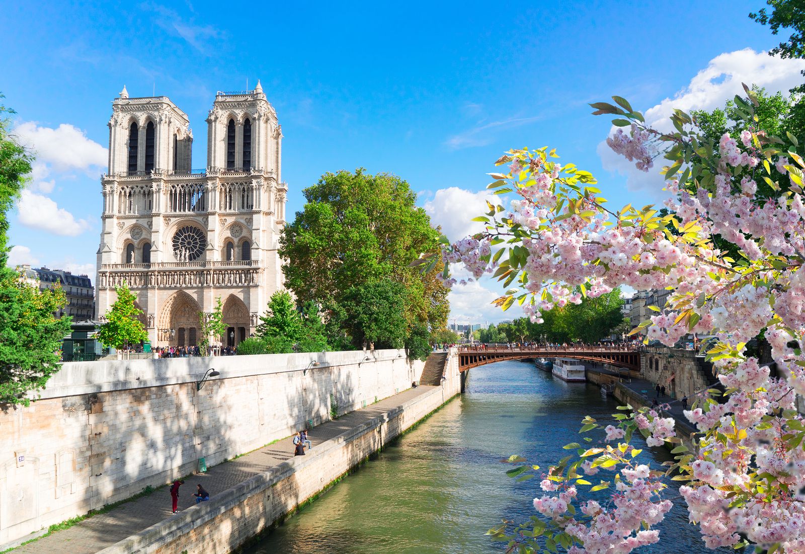 Las propuestas más locas para la reconstrucción de Notre Dame