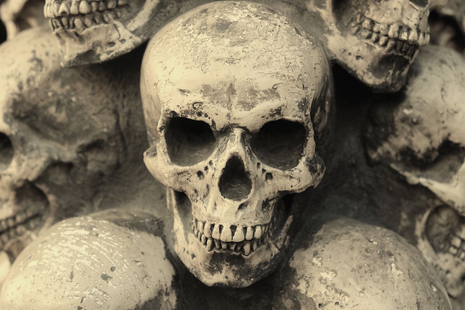 Identifican el origen de la peste negra, la mayor pandemia de la historia