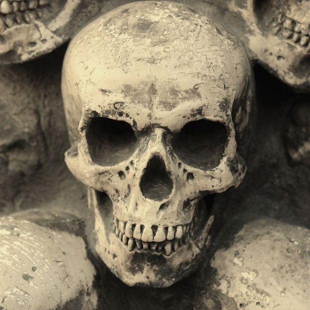 Identifican el origen de la peste negra, la mayor pandemia de la historia