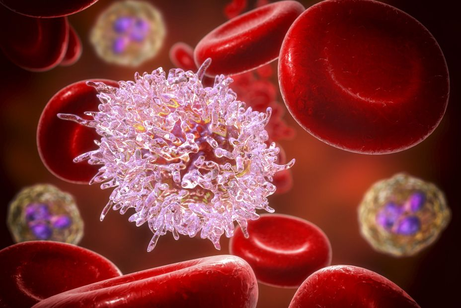 Convertir células cancerosas en células sanas, el último hallazgo de los científicos españoles