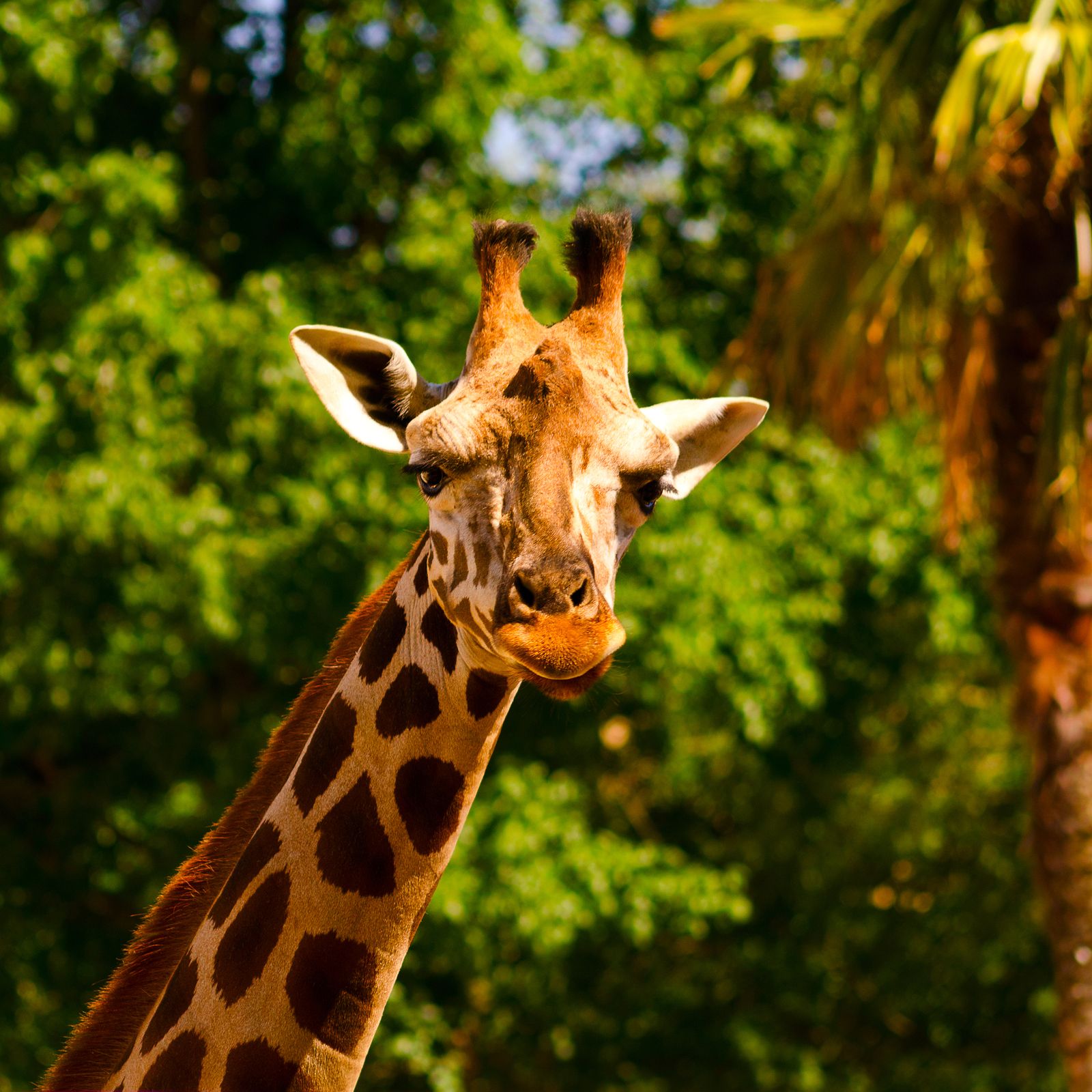 Zoo Aquarium de Madrid