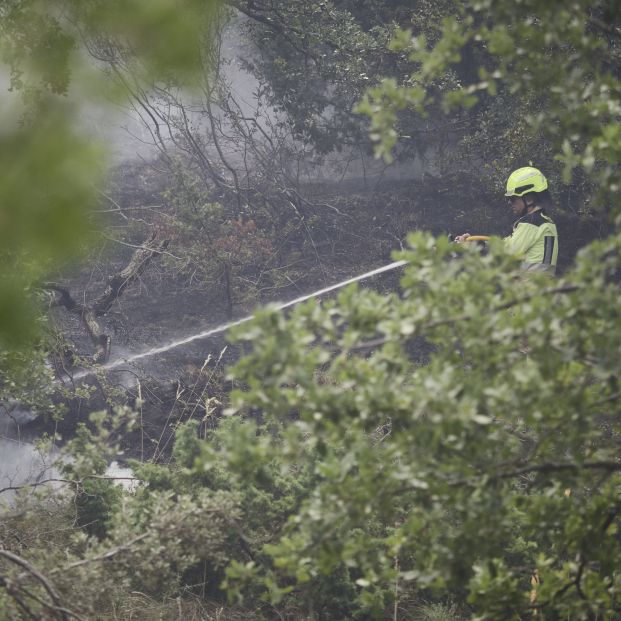 Desalojados 90 mayores de una residencia por el incendio de Teruel: "Es desolador". Foto: Europa Press