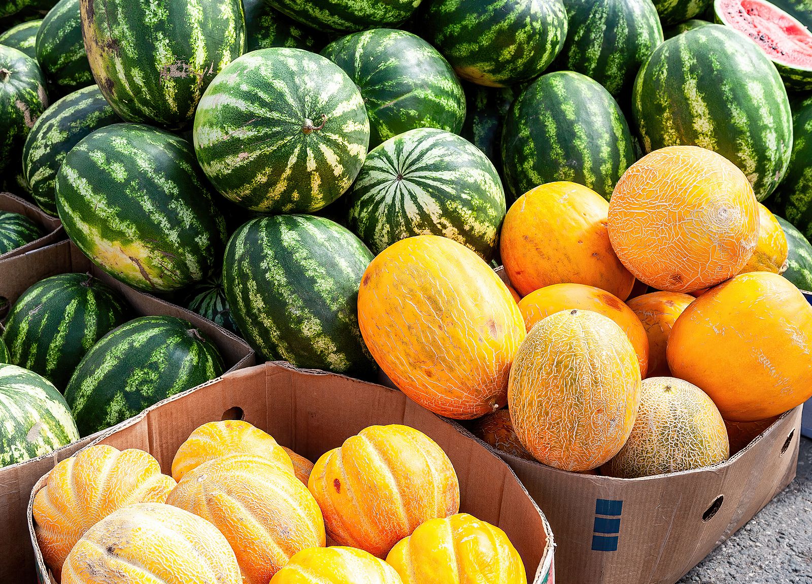 ¿Por qué el melón y la sandía se venden a precio de oro este verano?