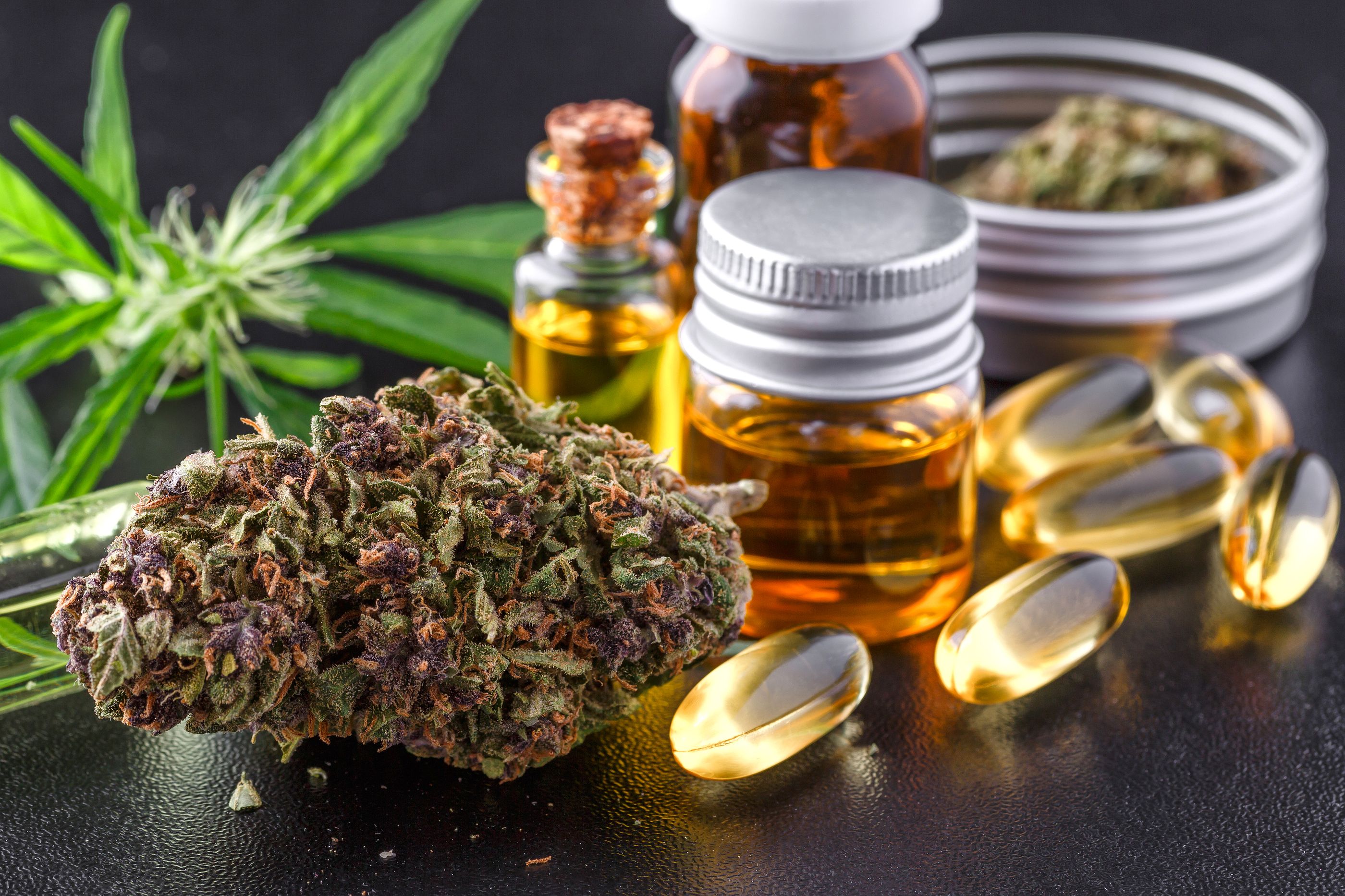 Cannabis medicinal: para qué enfermedades será legal en España