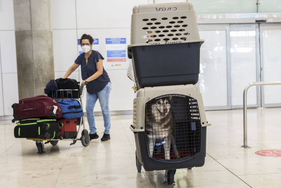 Viajar fuera de España con mi mascota, ¿cuáles son los requisitos?