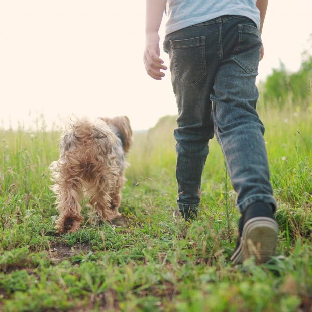 Fallece un hombre de 84 años ahogado en un pozo al intentar rescatar a su perro. Foto: Bigstock