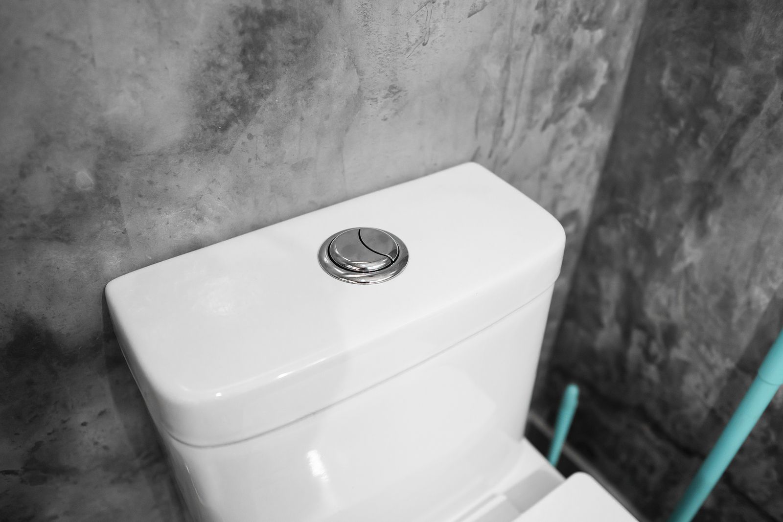 El 'misterio' del botón de la cisterna del baño que triunfa en las redes