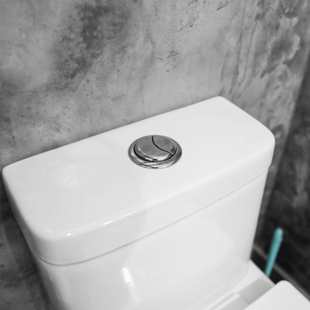 El 'misterio' del botón de la cisterna del baño que triunfa en las redes
