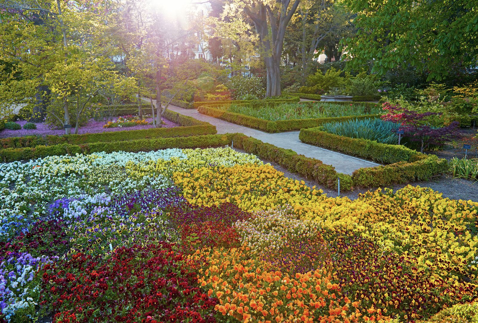 Qué secretos esconde el Real Jardín Botánico de Madrid